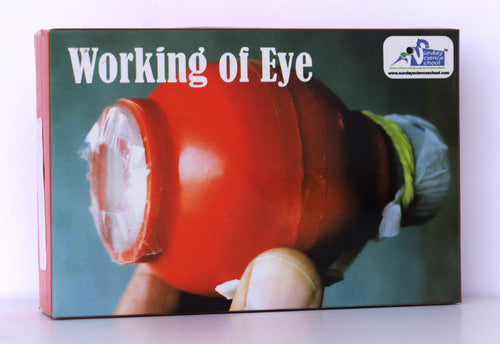 Working Of Eye