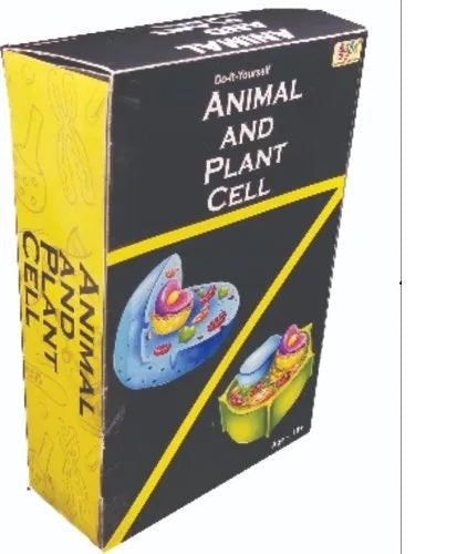 Plant And Animal Cell