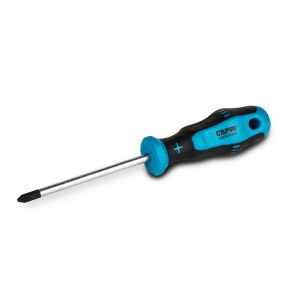 Screw Driver Small 2 In 1