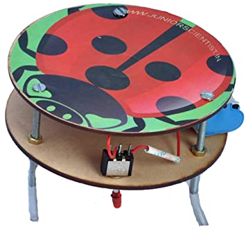 Bug Bot
