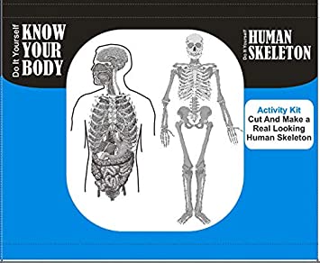 Know Your Body