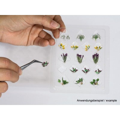 Noch  14056 Wild Flowers Ho Scale