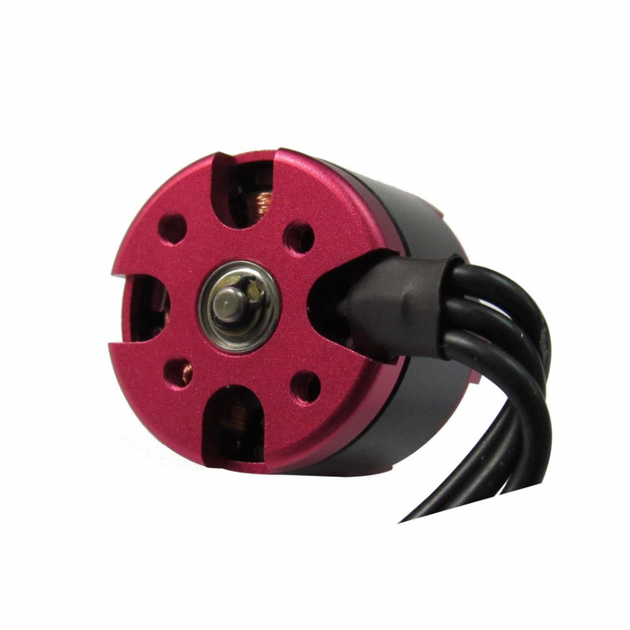 Brushless Motor Dji 2212 920Kv Cw