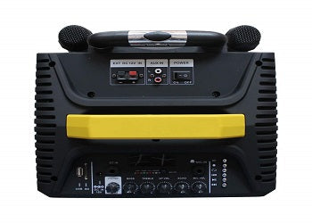 Mx12" Wooden Speaker 100W