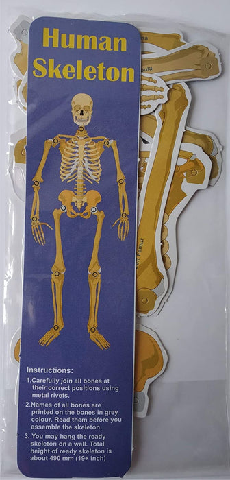 Know Your Body