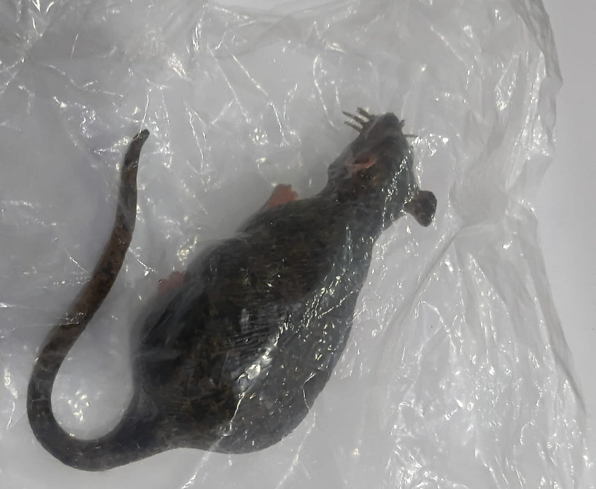 RAT- STATIC MODEL 8019