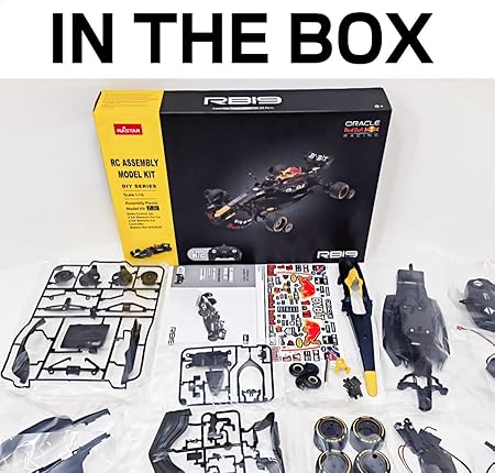 RASTAR 92600 1/16 ORACLE RED BULL RB19 RACING RC CAR BUILDING ASSEMBLY PLASTIC MODEL KIT (50 PCS & 5 PTS)