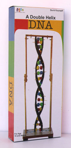 Double Helix Dna Model