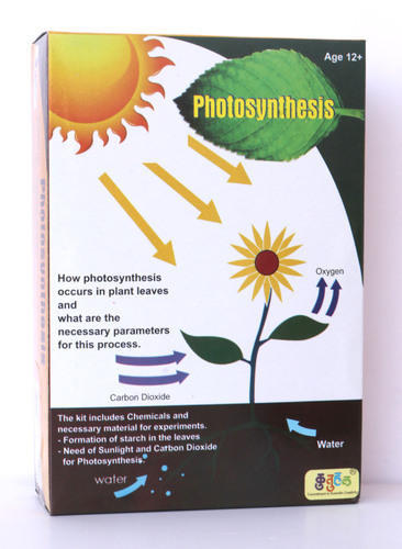 Photosynthesis  Study Kit