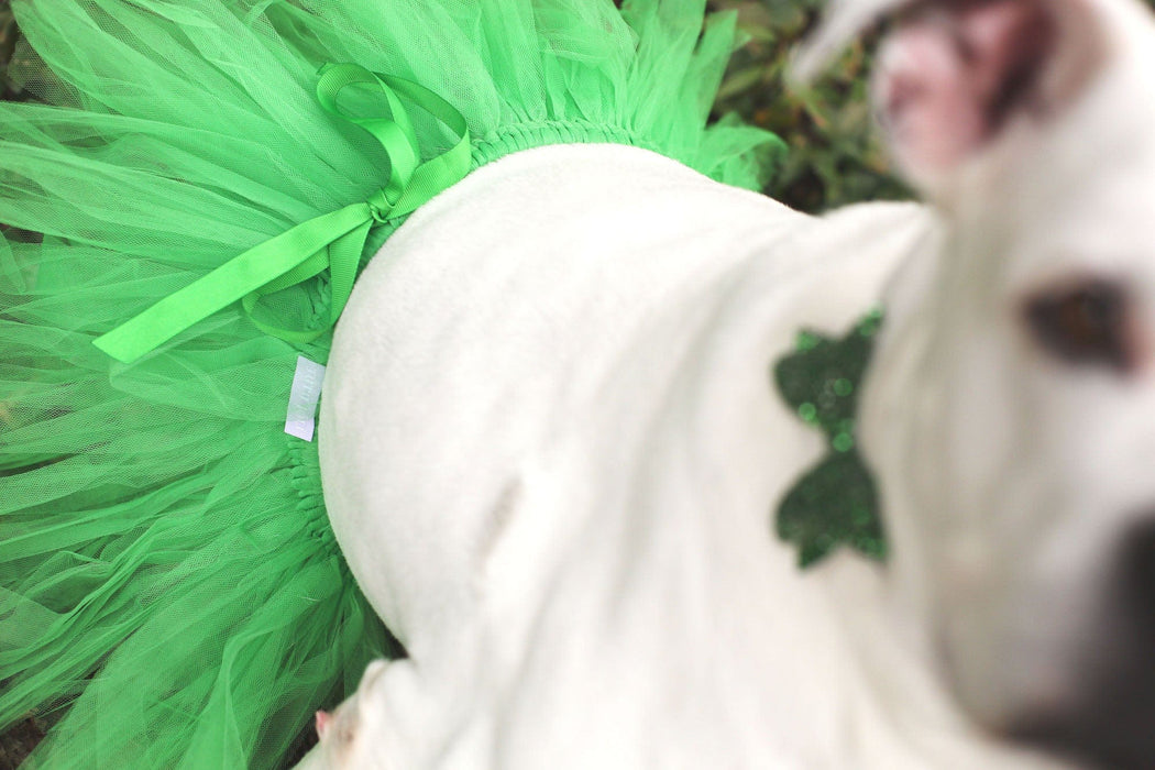 Green Christmas Dog Tutu Skirt | XS-XXXL