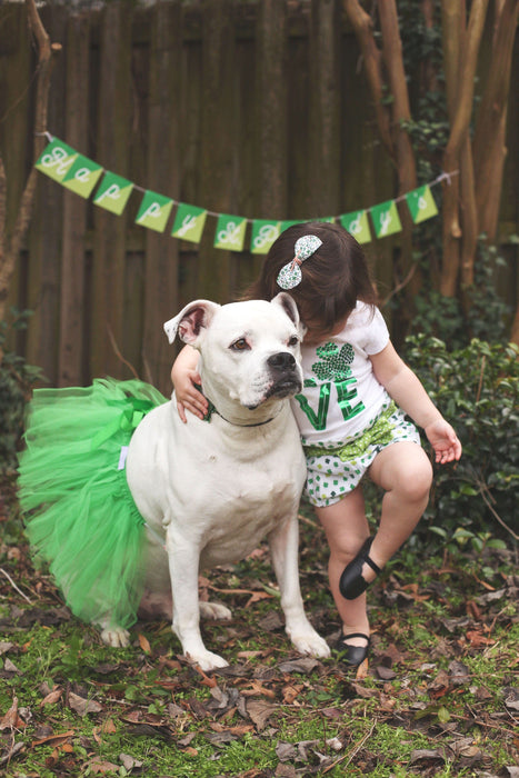 Green Christmas Dog Tutu Skirt | XS-XXXL