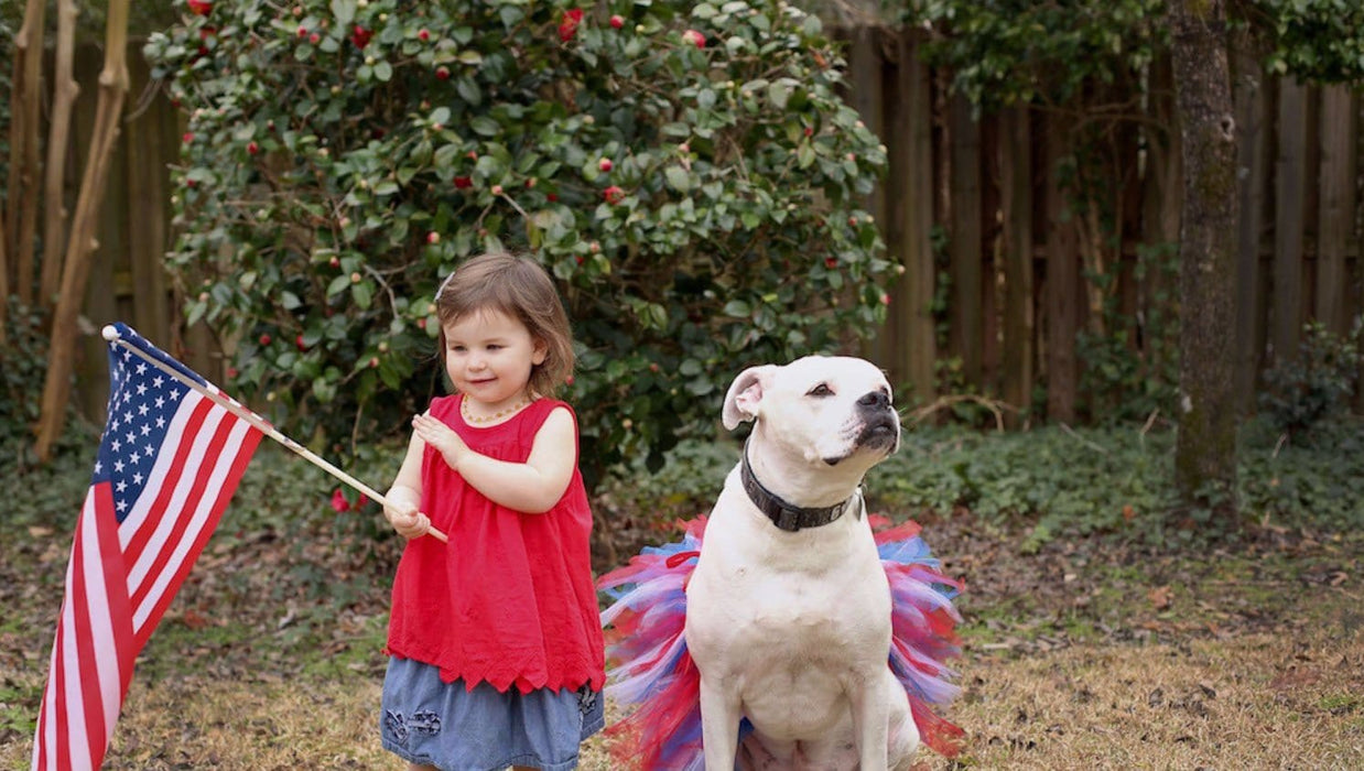 4th Of July Dog Tutu Skirt | XS-XXXL