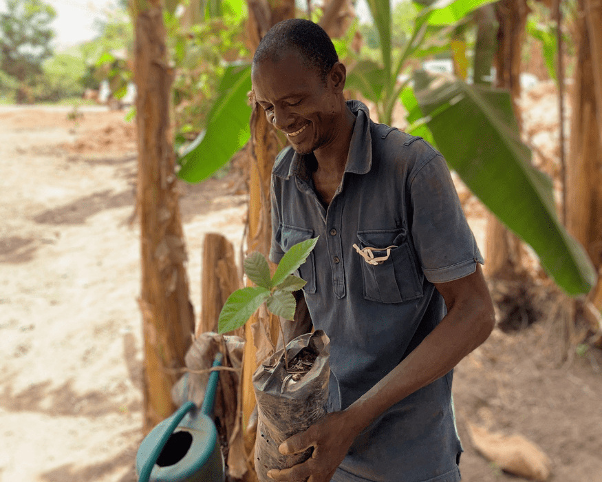 Just $1 plants 1 tree Campaign