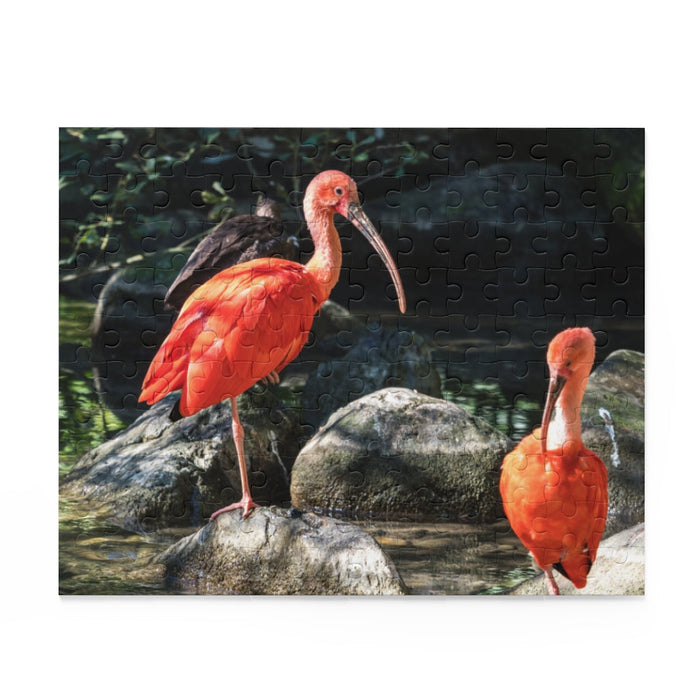 Scarlet Ibis, Guyana Wildlife Puzzle (120, 252, 500-Piece)