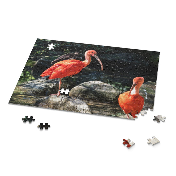 Scarlet Ibis, Guyana Wildlife Puzzle (120, 252, 500-Piece)