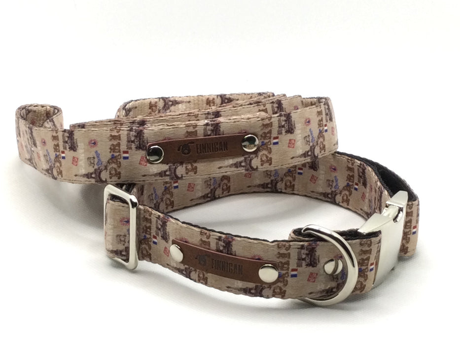 Wholesale  Durable Designer Dog Collar No.21L