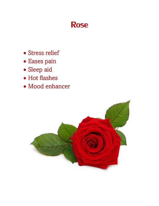 Anxiety Relief Bracelet- Adjustable Rose Scented Band- Pain Relief, Anti-Depressant (single)