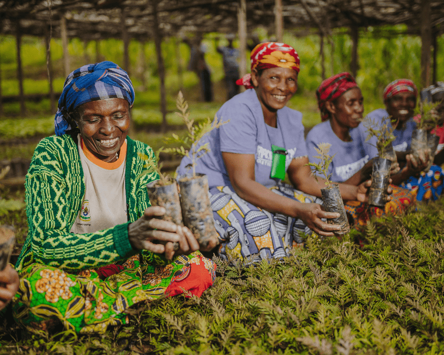 Just $1 plants 1 tree Campaign