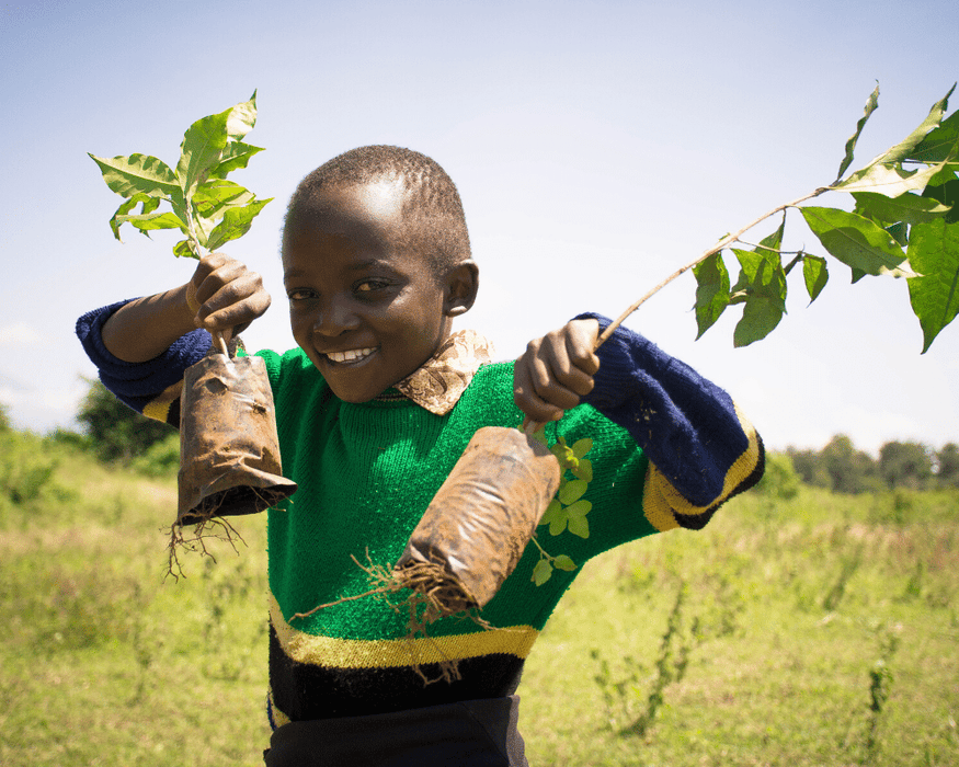 Just $1 plants 1 tree Campaign