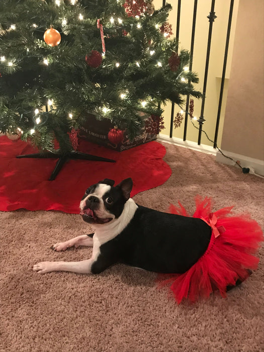 Red Christmas Dog Tutu Skirt | XS-XXXL