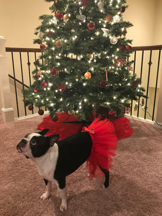 Red Christmas Dog Tutu Skirt | XS-XXXL