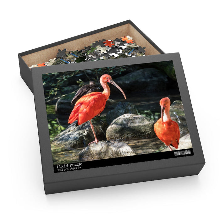 Scarlet Ibis, Guyana Wildlife Puzzle (120, 252, 500-Piece)