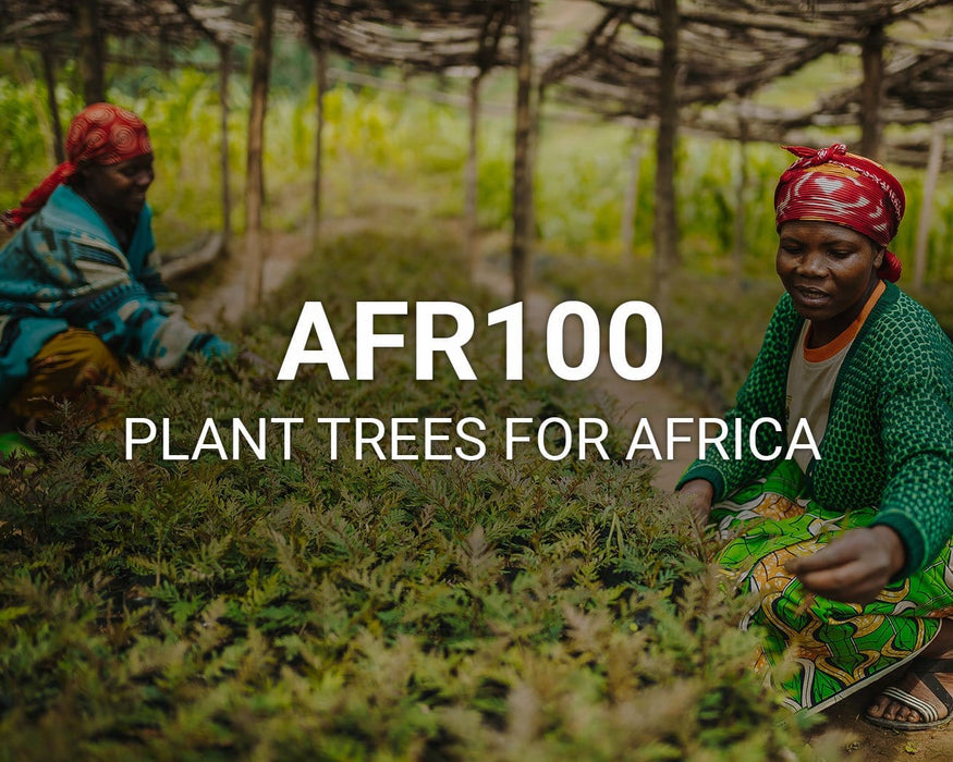 Just $1 plants 1 tree Campaign