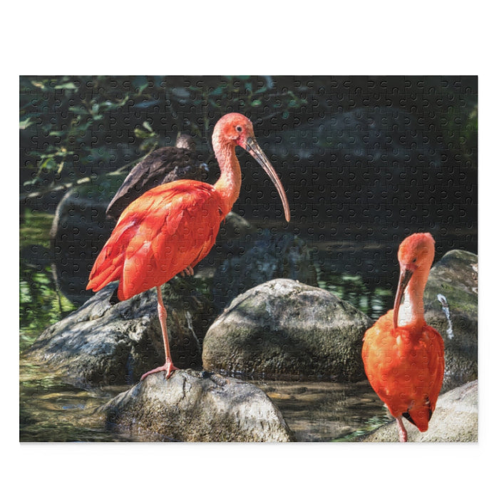 Scarlet Ibis, Guyana Wildlife Puzzle (120, 252, 500-Piece)