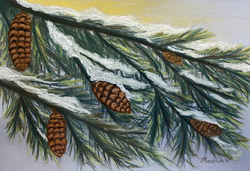 Christmas Postcard. Pastel Drawing of a Snow Covered Pine Tree.