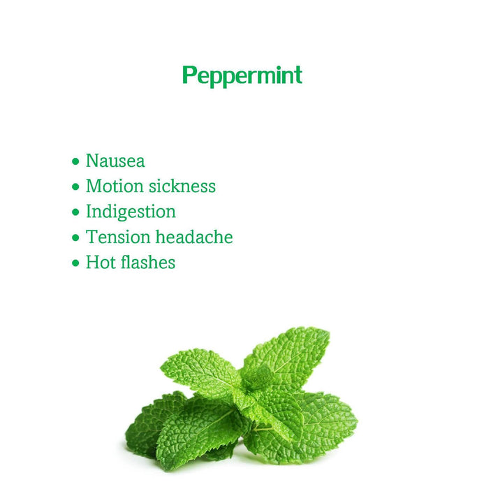 Scented Anti Nausea Bracelet with Peppermint Oil- Headache Relief- Hot Flashes- Anxiety (single)