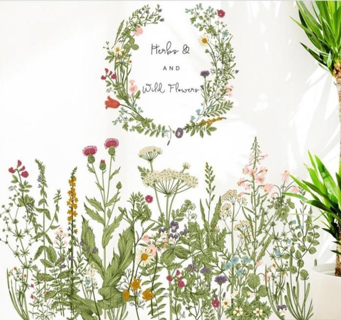 Herbs and Wild Flowers