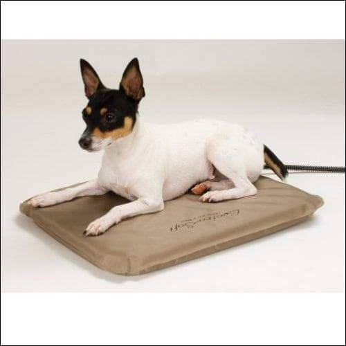 Smart Heated Small Pet Bed